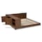 Baxton Studio Kaori Transitional Walnut Wood Queen Size Platform Storage Bed 168-10729 - alternate 3